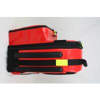 Notfallrucksack Professional L LEER
